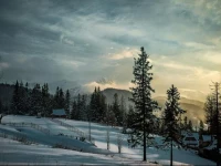 Apartamenty Toporowa Cyrhla