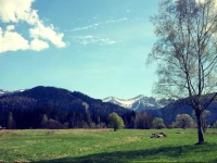 Domek Maria MД…ka