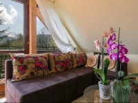 VIP Apartamenty Widokowe