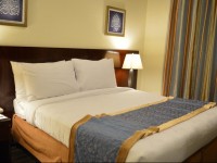 Dar Al Eiman Al Nour