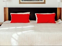 Apartments Skadarlija Lux