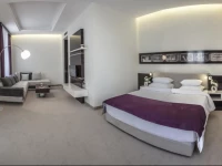 Hotel Theater Belgrade