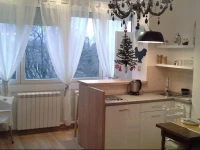 Apartment Lucky Pillow