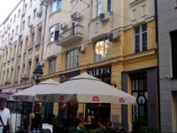 Apartment Magic Tree