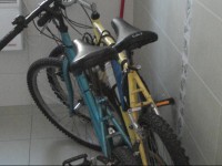 Apartment Studio Ada