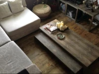 Apartment Vracar Skylight