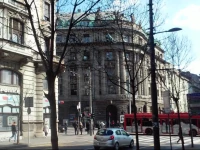 Apartment Yellow Mushroom