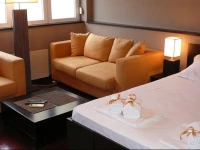 Balkan-inn Studio Centar apartment