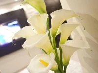 Republic Square Apartments Decanska