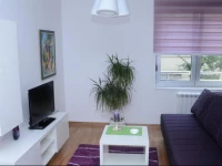 Sekulas City Center Apartment