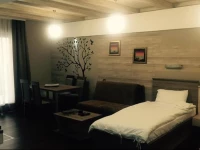 Apartments PetroviД‡