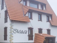Vila Milica