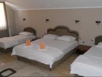Guest house Vila Bor