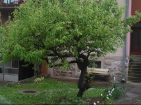 JevД‘iД‡ Accommodation