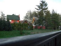 Apartment Golden Pine