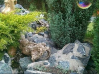 Apartments at Vila Stikic Zlatibor