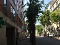 ApartmГЎn Mickiewiczova