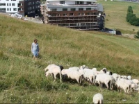 Apartman 220, Apartmanovy dom Triangel Donovaly