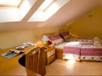 DГЎlia Dependance***