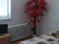 St. Elisabeth & Old City