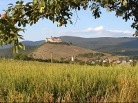 FarebnГЅ PenziГіn