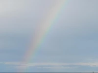 Apartments Celestina