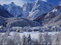 Apartment Lesnina 4*