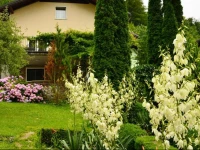 Aparthotel Carpe Diem Lasko