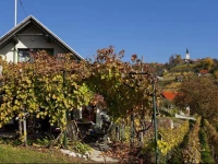 Vineyard Cottage Vercek