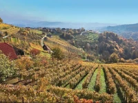 Holiday home Otocec 20