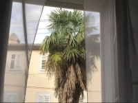 Apartment Hisa 7 Piran