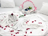 Bed and Brekfast Donatella