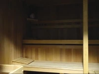 Three-Bedroom Apartment with Mountain View in Podkoren