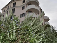 Rezidenca Vila Begonia