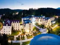 Grand Hotel Sava Superior