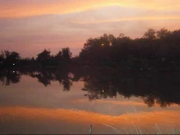 Freddies Fishing Park