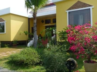 The Yellow House @ Chiang Mai