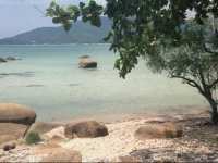 Tropical beach house