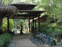 Momchailai Forest Retreat