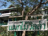 Makmai Villa - Rayong