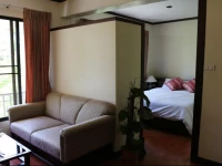 Belleville Apartment