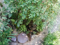 Ibrik Resort by the river