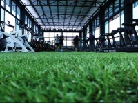 Rod Fai Fah Apartment