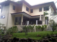 Chaweng Bungalow with Elephants