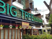 Big Tree Boutique Hotel