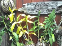 18 Terrace Guest House