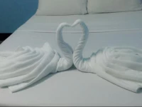 Hi Guest House Chiang Mai