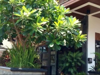 The An-Teak Chiang Mai 2*