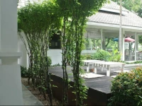 White Chalet Guesthouse 3*