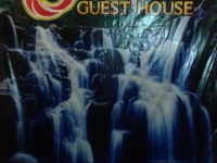 Born Guest House